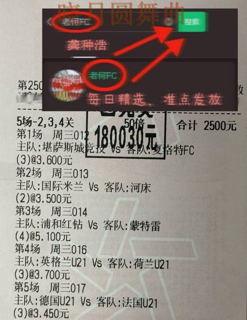 世界杯投注官网法国焦点战数据怎么用